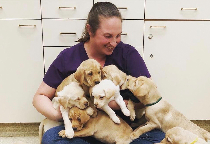Dr. Jen with twenty pups