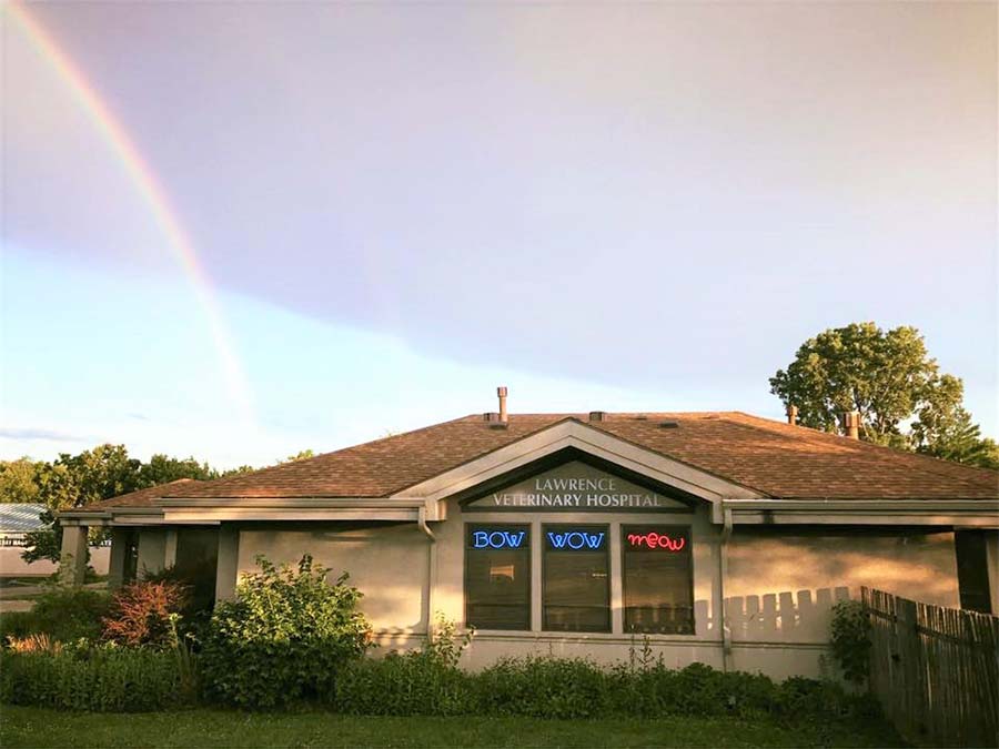 Lawrence Veterinary Hospital Rainbow