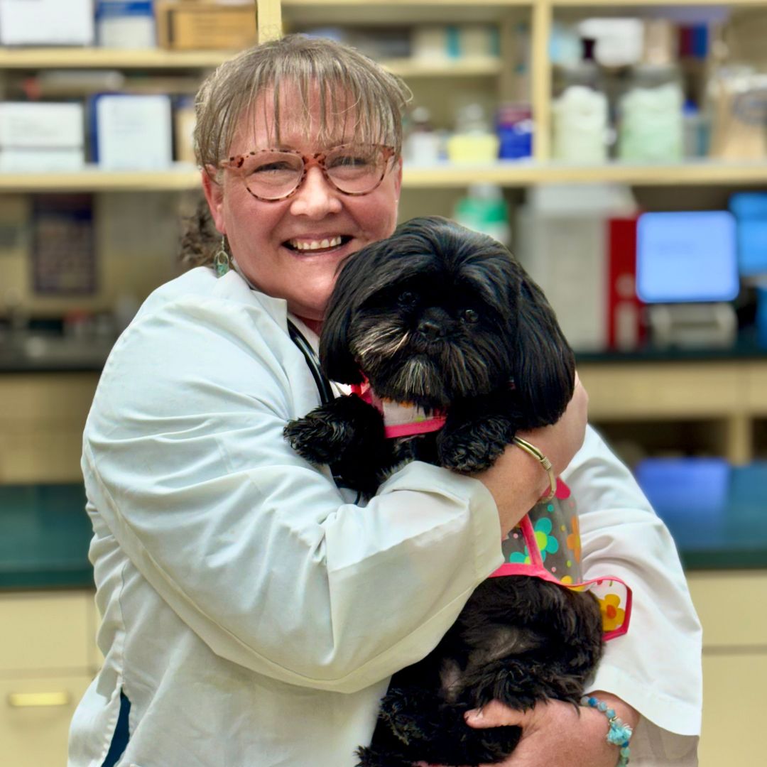 dr. jen bussen